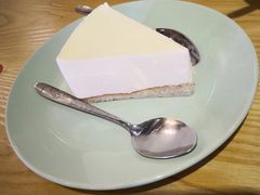 -古树酸奶(八廓南街店)