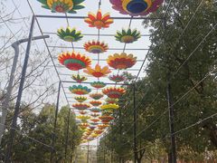 -武汉园博园(武汉自然博物馆)