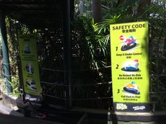-圣淘沙天际线斜坡滑车