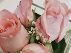 -西安曲江妇产医院-妇科
