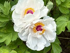 -起源小厨(应天门店)