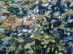 -成都浩海立方海洋公园