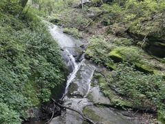 -内乡宝天曼生态旅游区