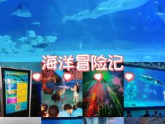 -烟台海昌鲸鲨海洋公园