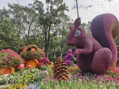 -广州市白云山风景名胜区
