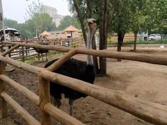 -大连森林动物园