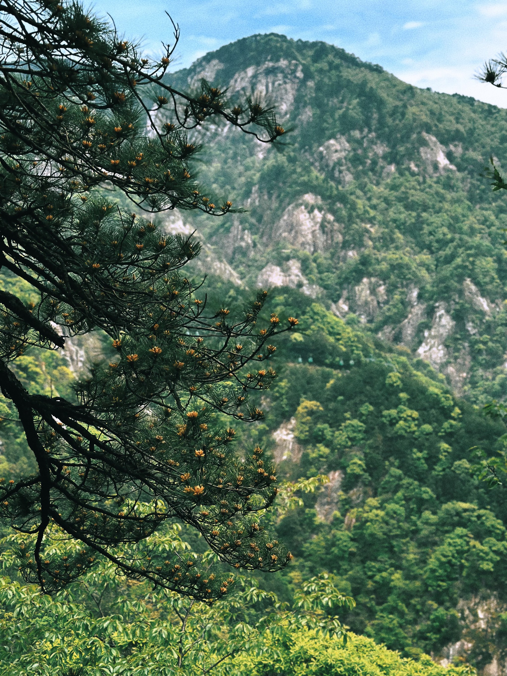 明堂山多高图片