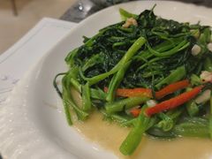 腐乳空心菜-美极鲜食坊(宝安南路店)