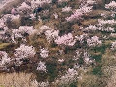 -妙峰山风景名胜区