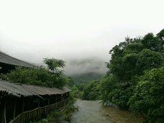 -天门沟九州驿站树上汤泉
