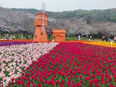 -苏州上方山国家森林公园