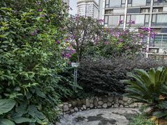 -极光口腔·矫正种植修复(锦江店)