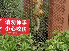 -乐和乐都主题乐园