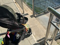 -白洋淀景区