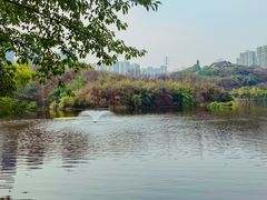 -重庆彩云湖湿地公园