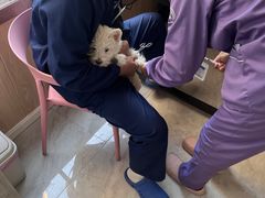 -恒幸动物医院·急重症转诊中心·神经内外科·CT核磁
