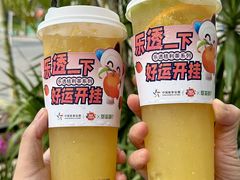 -萃茶师(琅西店)