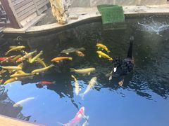 -湖鲜楼
