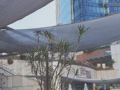 -听香·678茶铺(猛追湾店)