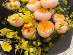 -双季花艺园艺市场(浦东店)