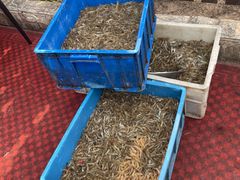 -正宗天津烧麦馆(柳州路店)