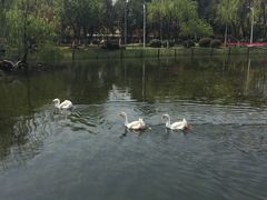 -杭州师范大学(下沙校区)
