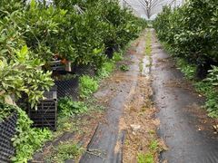 -前小桔亲子创意农场·草莓采摘·露营烧烤