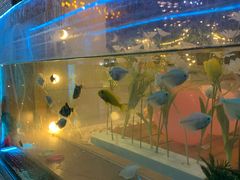 -天空花园餐吧·生日·团建(南山店)