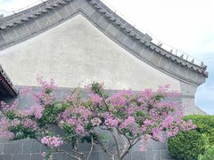 -蓬莱阁景区