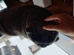 -Me Coffee下午茶艺术空间