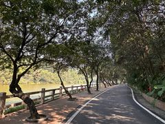 -李小龙乐园(顺德均安店)