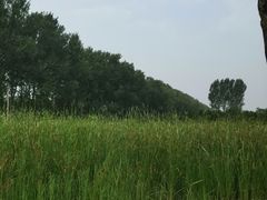 -东郊湿地公园