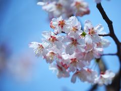 -上海鲁迅故居