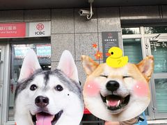 -清真·舒迩布炕锅王·高原美食文化(青海总店)