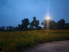 -长广溪湿地公园