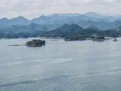 -浔味·山屿湖·正宗全鱼宴老字号