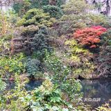 潭水深20m，清澈无比