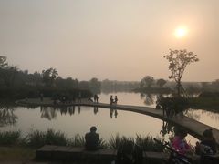 -白鹭湾湿地公园