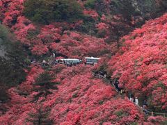 -木兰云雾山