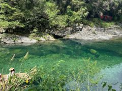 -石台牯牛降景区
