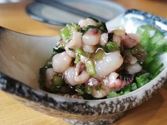 鲜辣根腌八爪鱼-慢走(甜水园店)