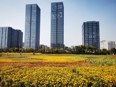 -映月湖中央公园