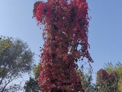 -三里河公园