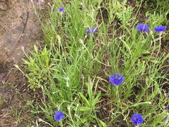 -白塘生态植物园