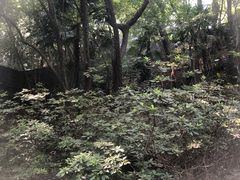 -虞山城墙