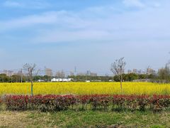 -嘉北郊野公园