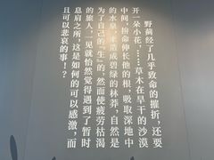 -北京鲁迅博物馆(北京新文化运动纪念馆鲁博馆区)