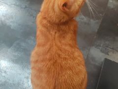 -箪食记(汉口路店)