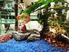 -馨园villa融合菜(东山店)
