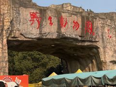 -合肥野生动物园